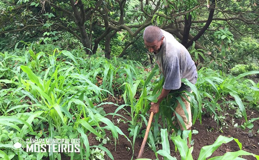 Azágua: Chuvas de finais de Agosto e início de Setembro relançam ano agrícola